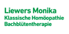 Kundenlogo von Liewers Monika Heilpraktikerin
