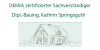Kundenlogo von Springsguth Kathrin Ingenieurbüro