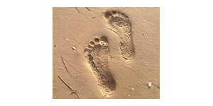 Kundenlogo von Stahl Andrea Podologie und Fußpflege